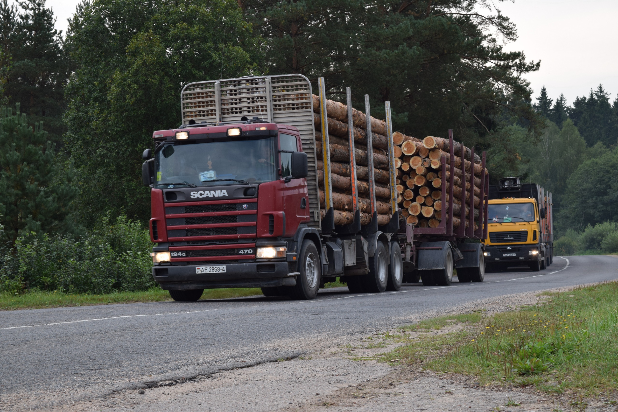 Лесовоз Scania с прицепом, гружённый лесоматериалами, на трассе